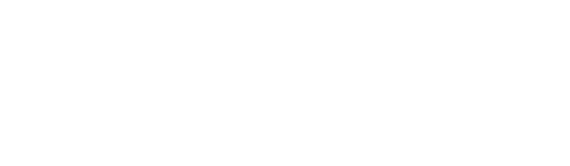 Data Intelligence Insights